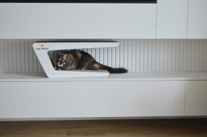 Як дати друге життя старій когтеточці
