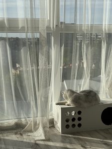 Віра – киця Мія