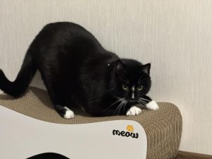 Максим