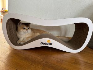 Марія – котик Зефір